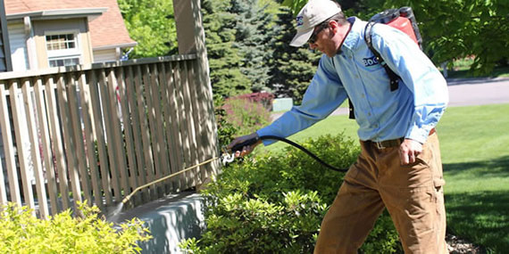 Residential Pest Control in Plymouth, MN