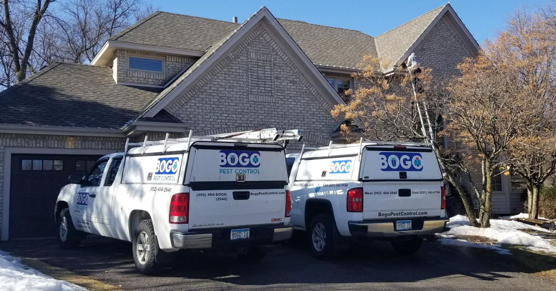 Pest Control in Wayzata, MN