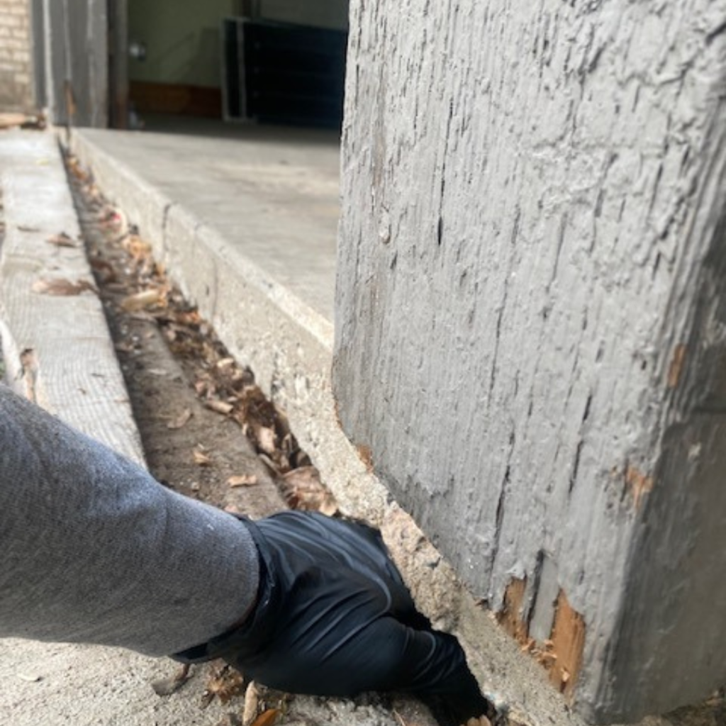 Mouse entry point going underneath garage slab