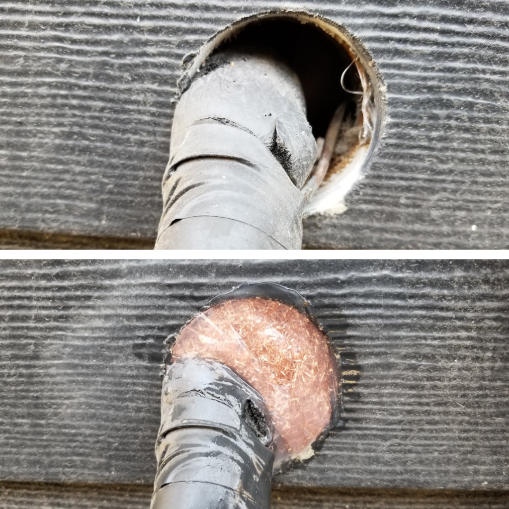 Mouse entry point through AC line. Before and After