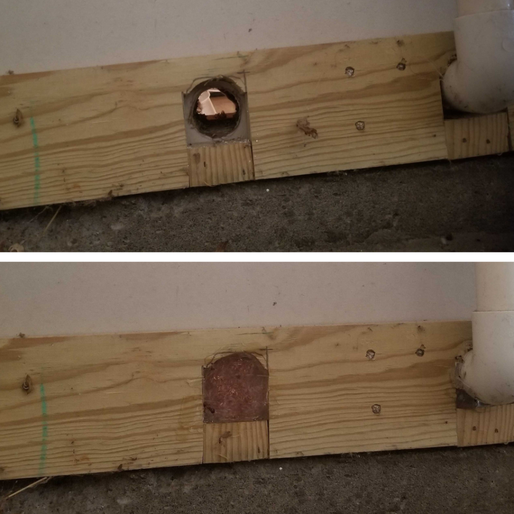 Mouse entry point inside garage. Before/After