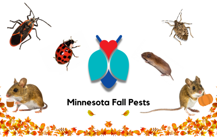 Minnesota Fall Pests