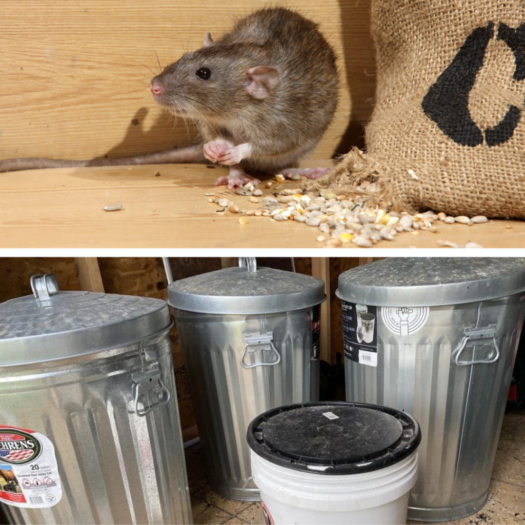 Mouse proof birdseed containers