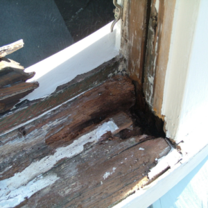 Rotted Window Trim