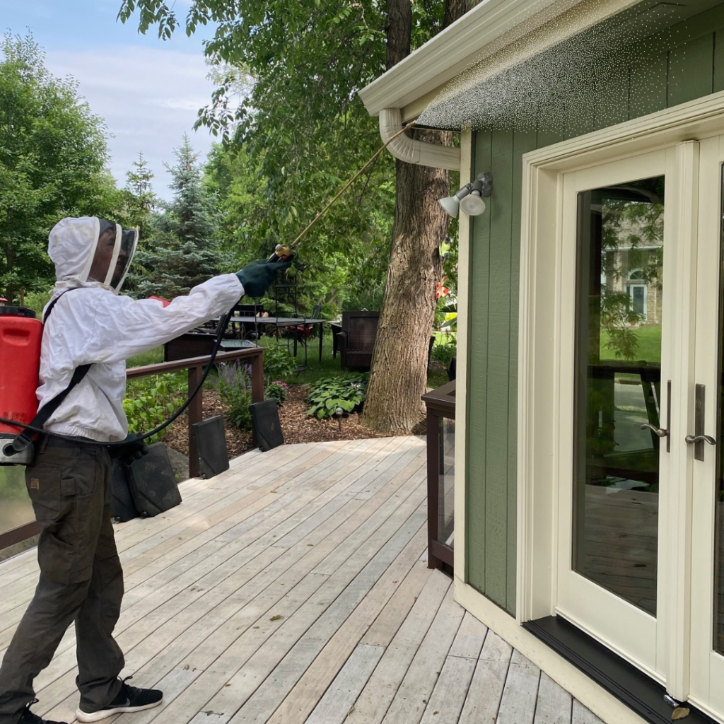 Wasp removal service preventative