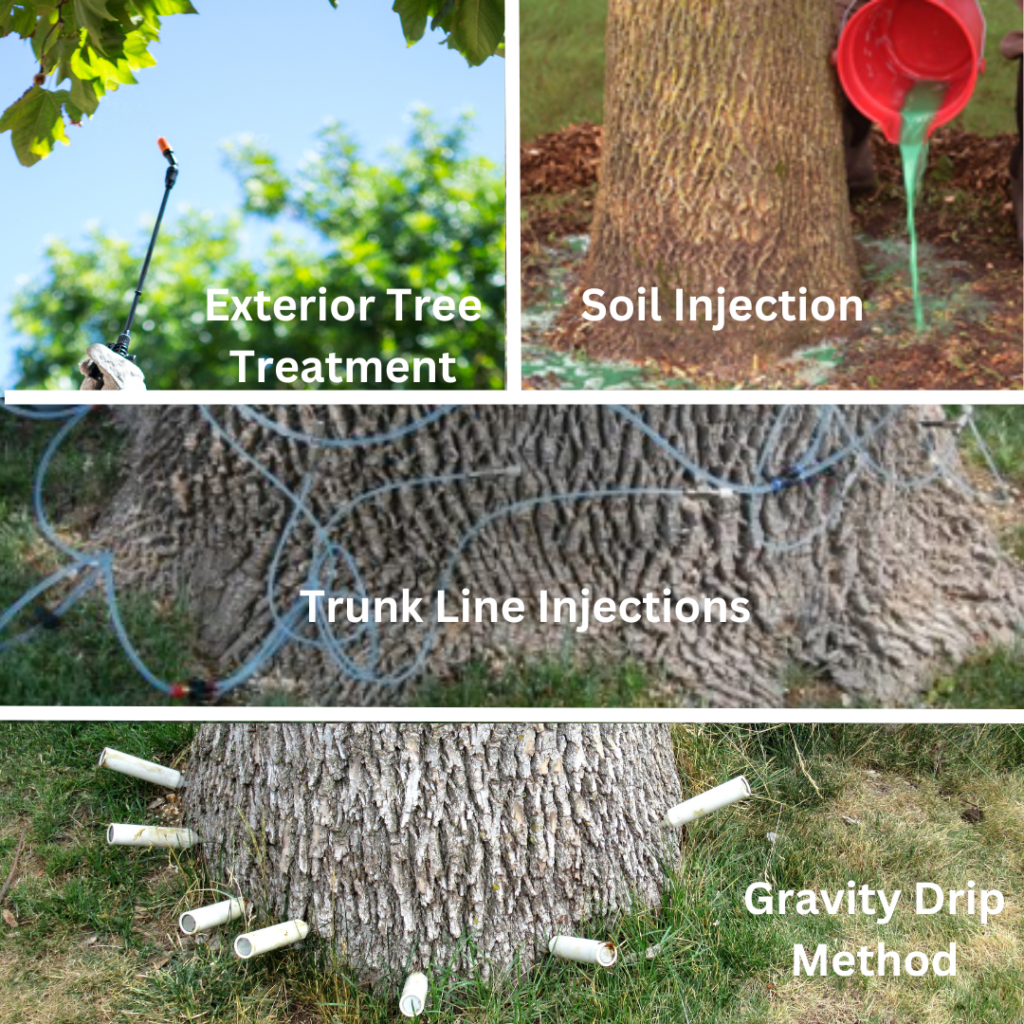 Alternative Ash Tree Treatments