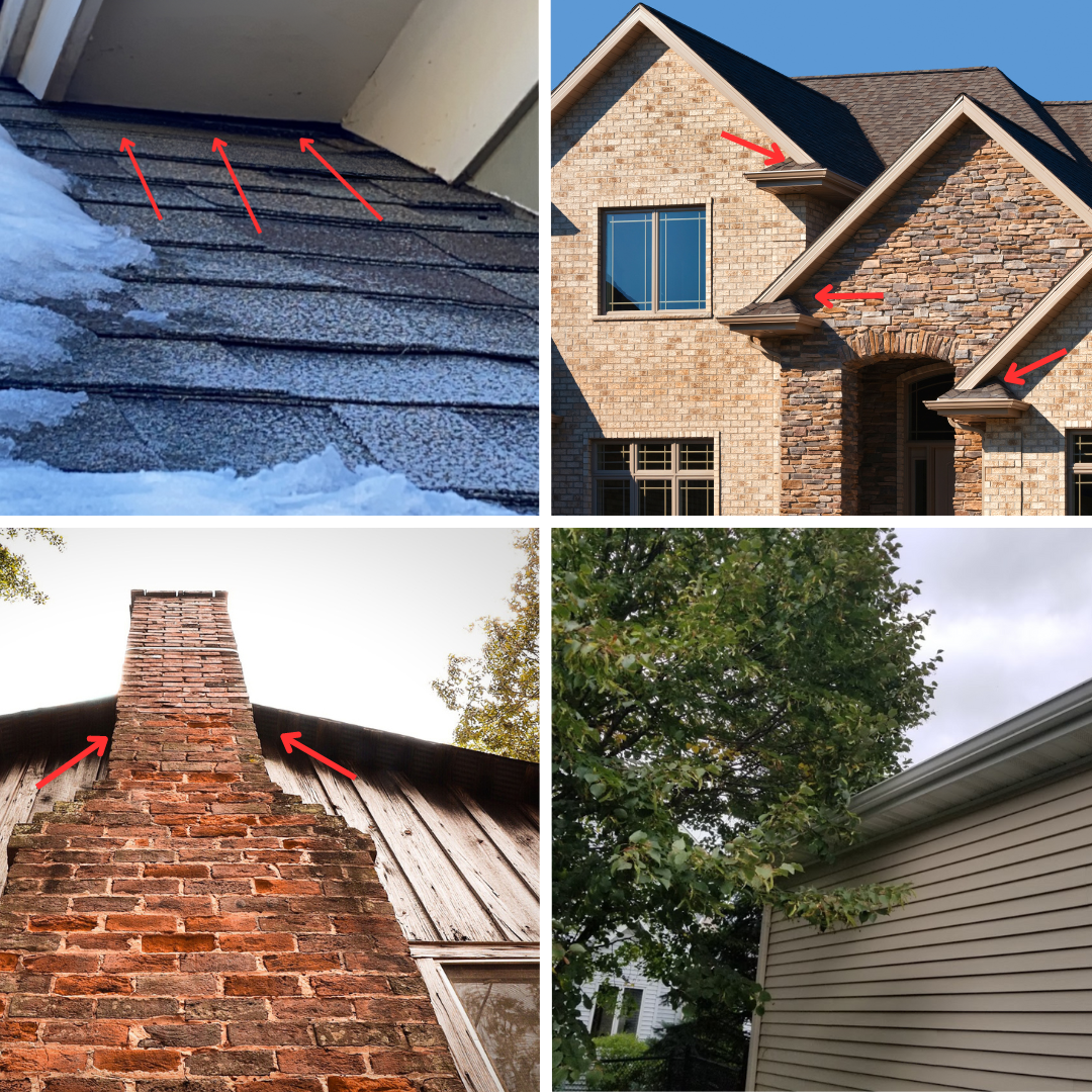 Roofline entry points for mice