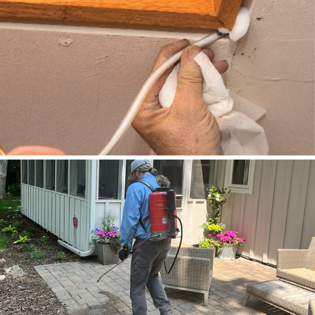 Interior and exterior ant service