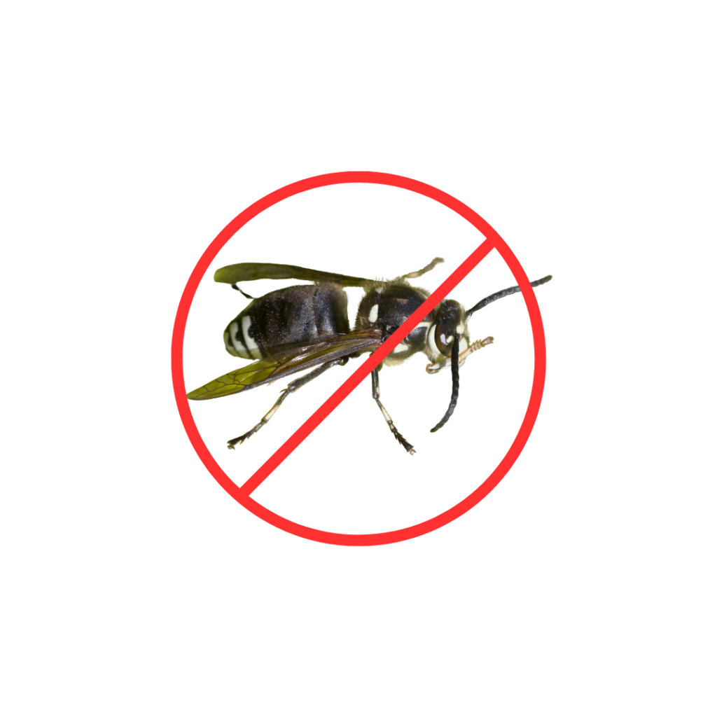 Plymouth Minnesota wasp preventative service