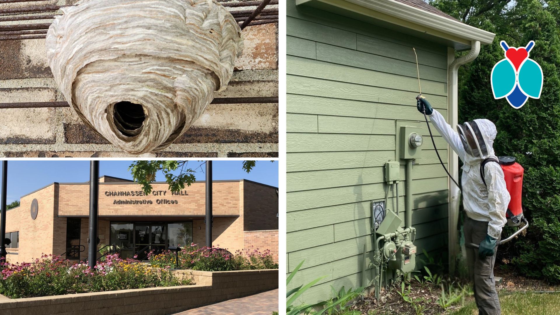 Wasp Removal and Prevention in Chanhanssen, MN
